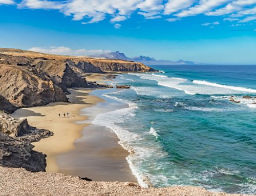 Quelles sont les meilleures periodes pour partir a Fuerteventura ?